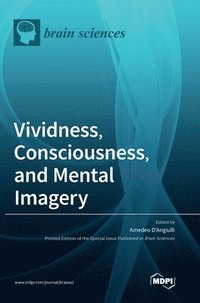 bokomslag Vividness, Consciousness, and Mental Imagery