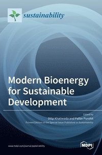 bokomslag Modern Bioenergy for Sustainable Development