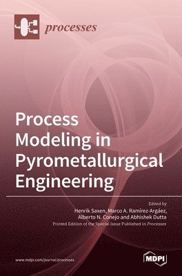 bokomslag Process Modeling in Pyrometallurgical Engineering