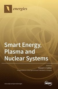 bokomslag Smart Energy, Plasma and Nuclear Systems