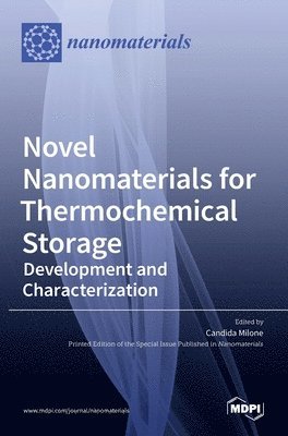 bokomslag Novel Nanomaterials for Thermochemical Storage