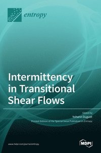 bokomslag Intermittency in Transitional Shear Flows