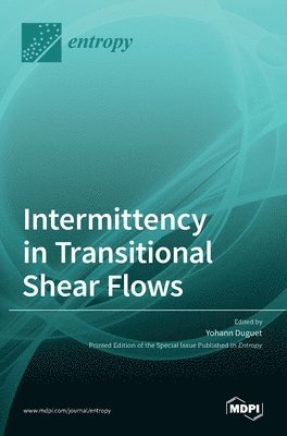 bokomslag Intermittency in Transitional Shear Flows