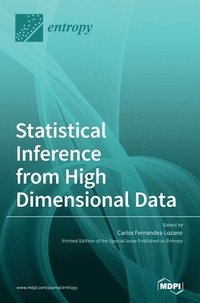 bokomslag Statistical Inference from High Dimensional Data
