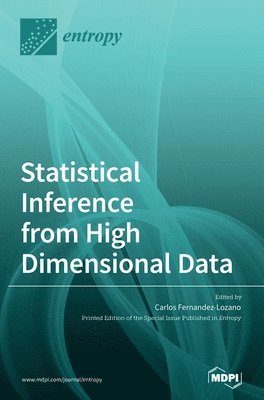 bokomslag Statistical Inference from High Dimensional Data