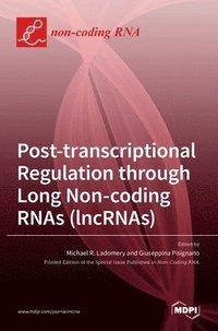 bokomslag Post-transcriptional Regulation through Long Noncoding RNAs (lncRNAs)