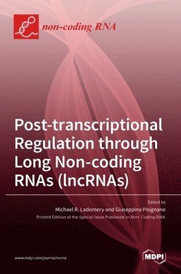 Post-transcriptional Regulation through Long Noncoding RNAs (lncRNAs), Inbunden