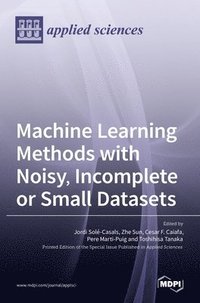 bokomslag Machine Learning Methods with Noisy, Incomplete or Small Datasets