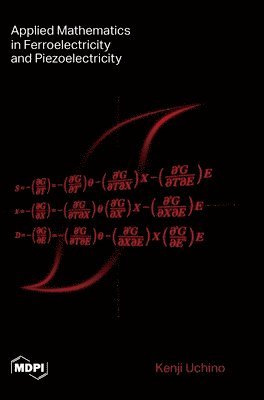 bokomslag Applied Mathematics in Ferroelectricity and Piezoelectricity