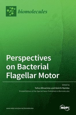 Perspectives on Bacterial Flagellar Motor 1