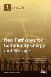 bokomslag New Pathways for Community Energy and Storage