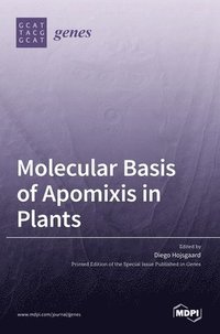bokomslag Molecular Basis of Apomixis in Plants