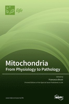 Mitochondria 1