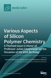 bokomslag Various Aspects of Silicon Polymer Chemistry