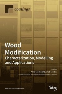 bokomslag Wood Modification