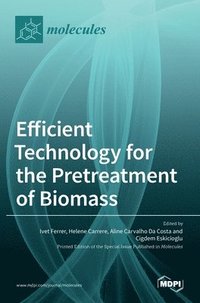 bokomslag Efficient Technology for the Pretreatment of Biomass