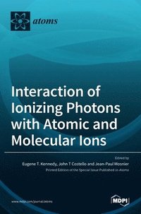 bokomslag Interaction of Ionizing Photons with Atomic and Molecular Ions