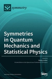 bokomslag Symmetries in Quantum Mechanics and Statistical Physics