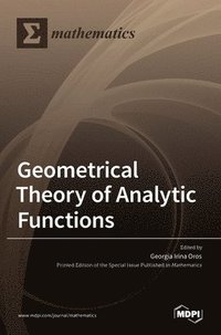 bokomslag Geometrical Theory of Analytic Functions
