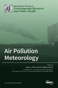 bokomslag Air Pollution Meteorology