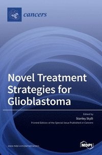 bokomslag Novel Treatment Strategies for Glioblastoma