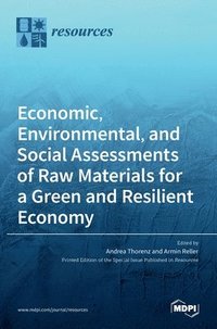 bokomslag Economic, Environmental, and Social Assessments of Raw Materials for a Green and Resilient Economy