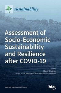 bokomslag Assessment of Socio-Economic Sustainability and Resilience after COVID-19