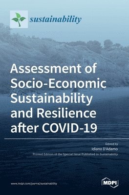 bokomslag Assessment of Socio-Economic Sustainability and Resilience after COVID-19
