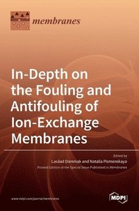 bokomslag In-Depth on the Fouling and Antifouling of Ion-Exchange Membranes