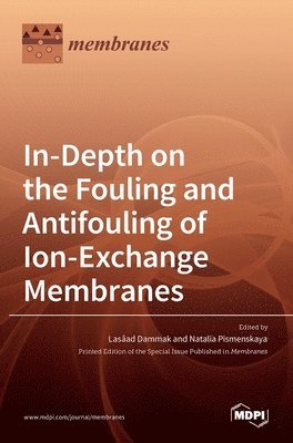 bokomslag In-Depth on the Fouling and Antifouling of Ion-Exchange Membranes