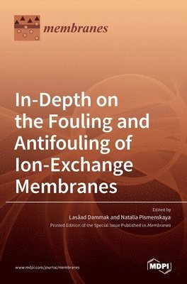 In-Depth on the Fouling and Antifouling of Ion-Exchange Membranes, Inbunden
