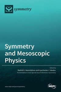 bokomslag Symmetry and Mesoscopic Physics