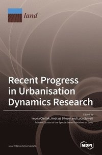 bokomslag Recent Progress in Urbanisation Dynamics Research