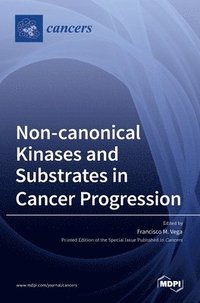 bokomslag Non-canonical Kinases and Substrates in Cancer Progression
