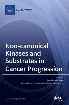 bokomslag Non-canonical Kinases and Substrates in Cancer Progression