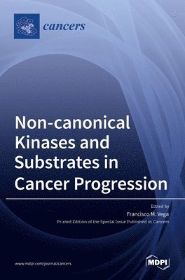 Non-canonical Kinases and Substrates in Cancer Progression 1