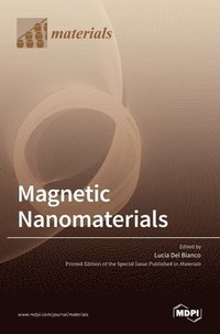 bokomslag Magnetic Nanomaterials