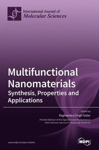 bokomslag Multifunctional Nanomaterials