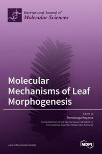 bokomslag Molecular Mechanisms of Leaf Morphogenesis