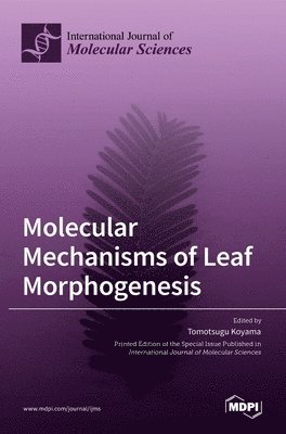 bokomslag Molecular Mechanisms of Leaf Morphogenesis