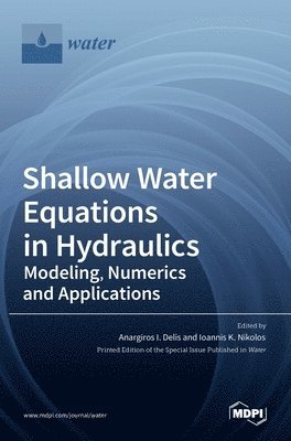 bokomslag Shallow Water Equations in Hydraulics