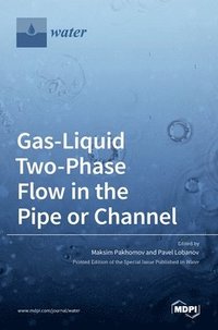 bokomslag Gas-Liquid Two-Phase Flow in the Pipe or Channel