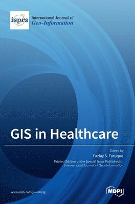 bokomslag GIS in Healthcare