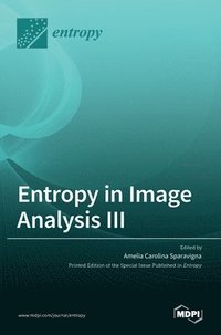 bokomslag Entropy in Image Analysis III
