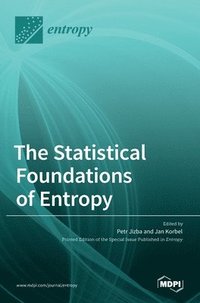 bokomslag Statistical Foundations of Entropy