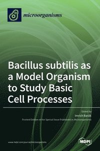 bokomslag Bacillus subtilis as a Model Organism to Study Basic Cell Processes