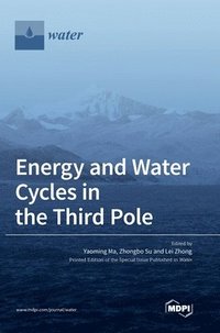 bokomslag Energy and Water Cycles in the Third Pole