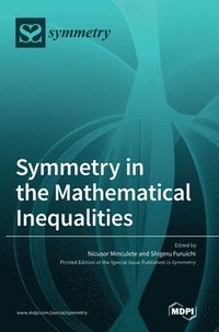 bokomslag Symmetry in the Mathematical Inequalities
