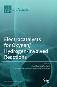 bokomslag Electrocatalysts for Oxygen/Hydrogen-Involved Reactions