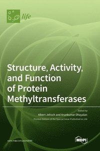 bokomslag Structure, Activity, and Function of Protein Methyltransferases